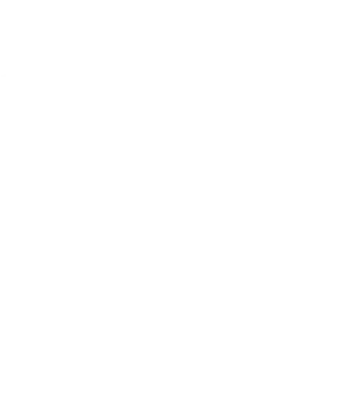 Seguridad e Intrusión